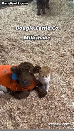 img.webp?credential=yqXZFxpELC7KVnFOS48ylbz2pIh7yKj8&expires=1767193199&allow_ip=&allow_referer=&signature=uLDA4y5SVSutX5oe8SIIy2NqOJA%3D