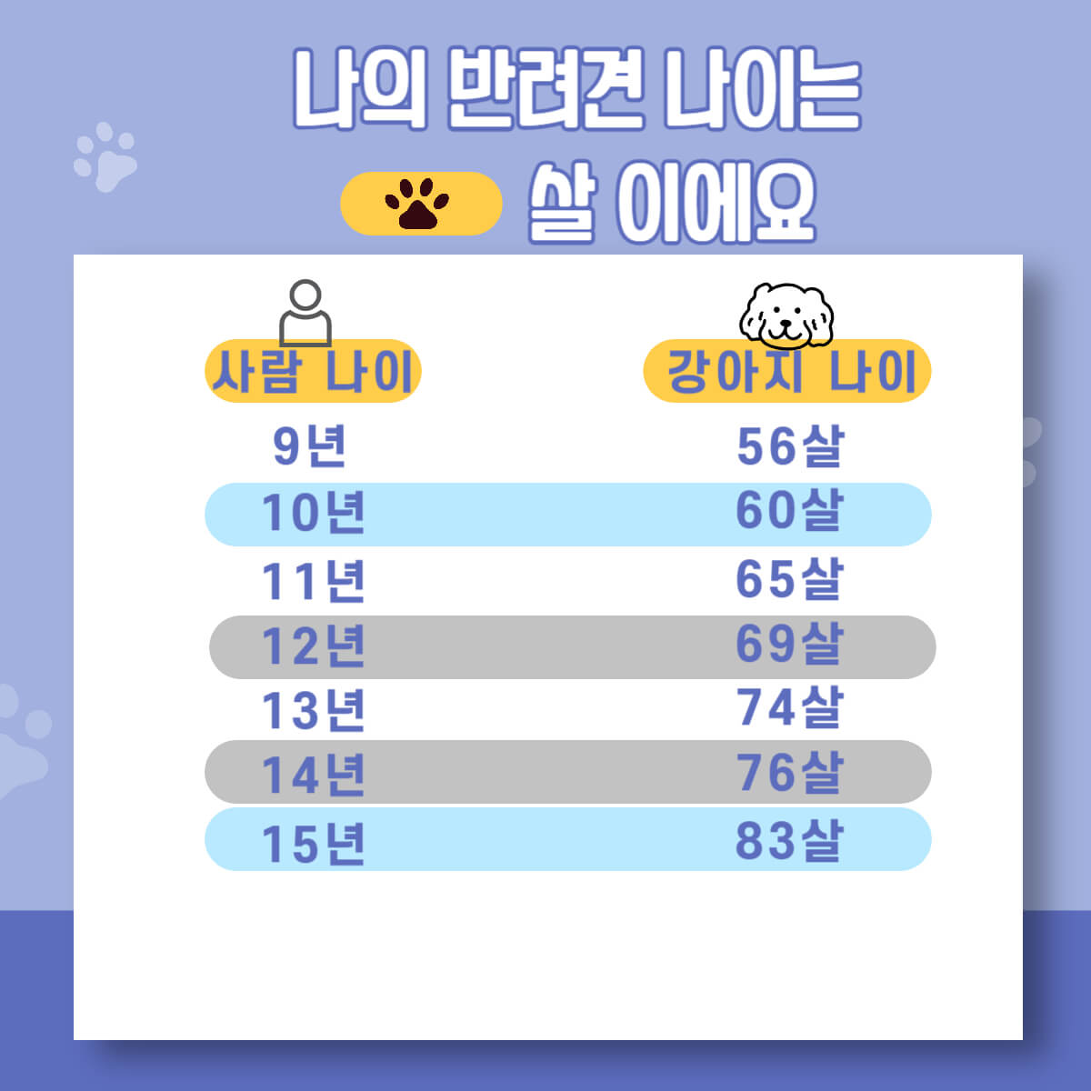강아지 반려견 나이 사람 나이로 계산하는 방법