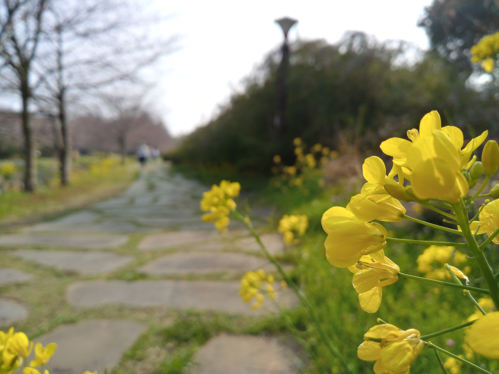 올레8코스 예래생태공원