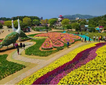 태안 튤립축제_2