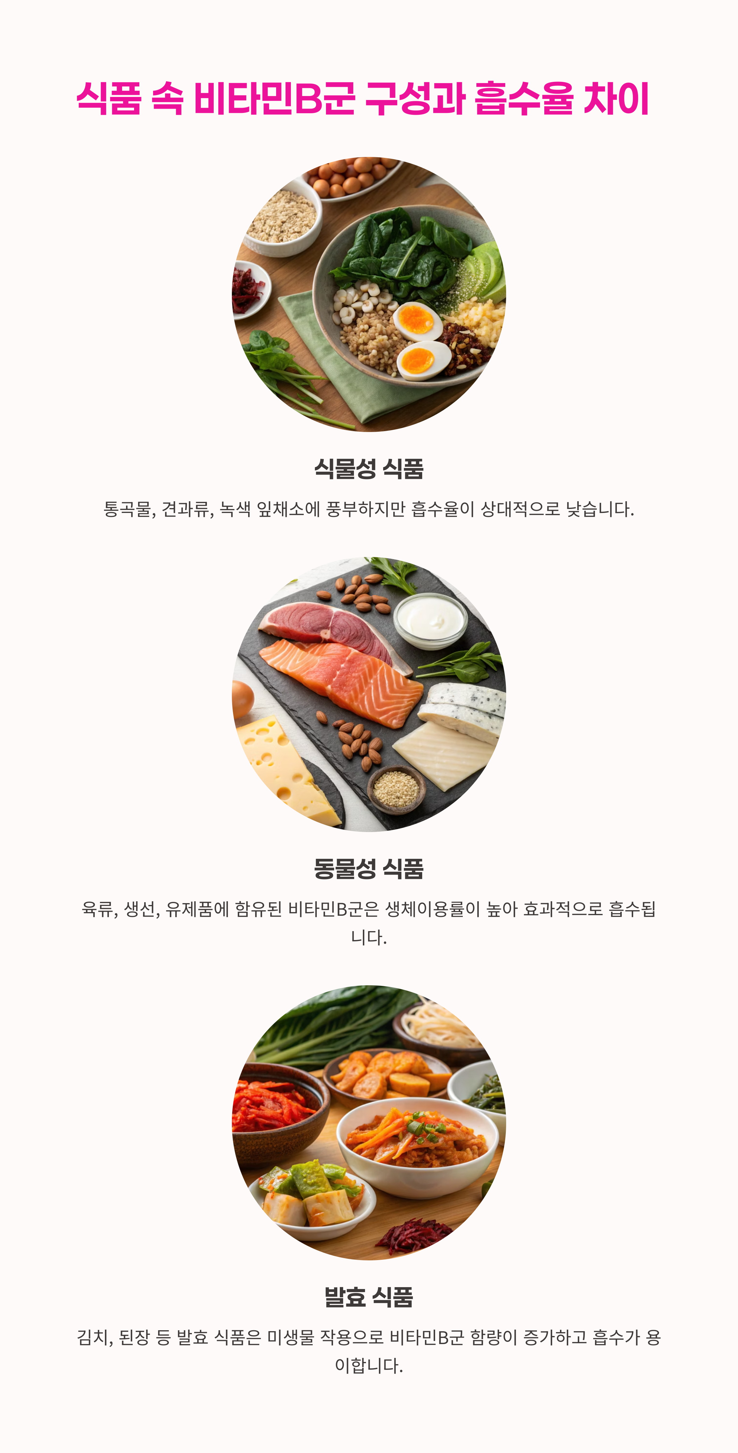 어떤 식품에 B군이 풍부할까?