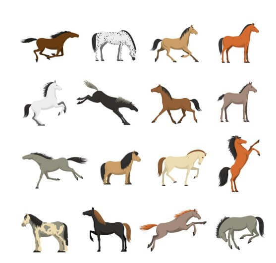 말의 여러 가지 행동들을 그림으로 나타낸 모습