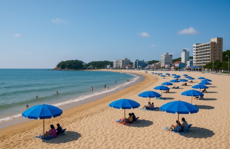 서해안 해수욕장 추천 관련 사진