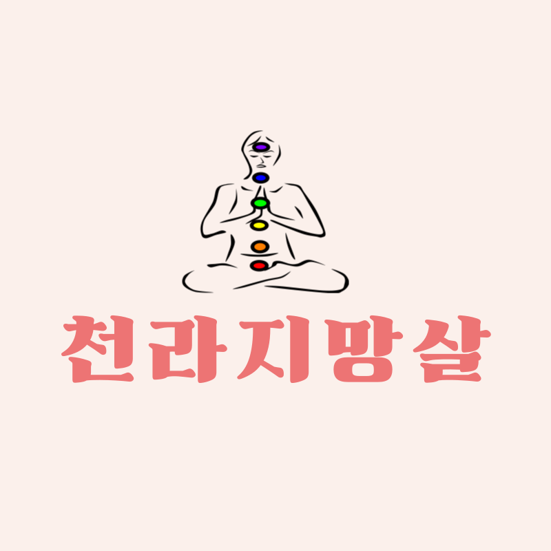 천라지망살의 의미