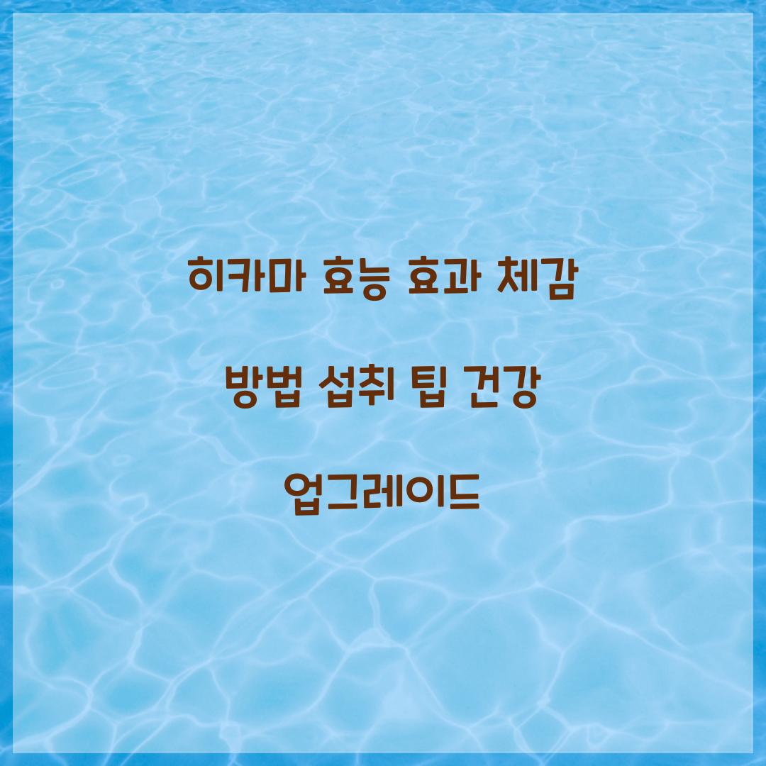 히카마 효능 효과