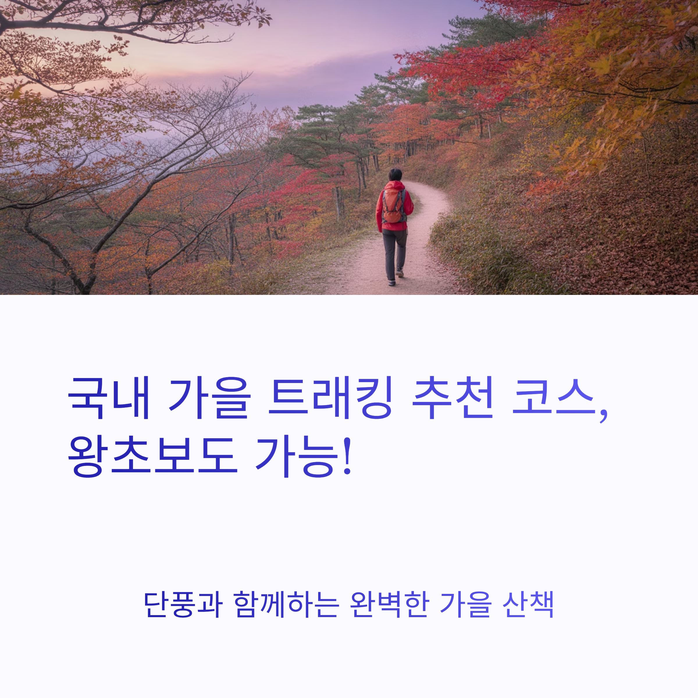 국내 가을 트래킹 추천 코스, 왕초보도 가능!