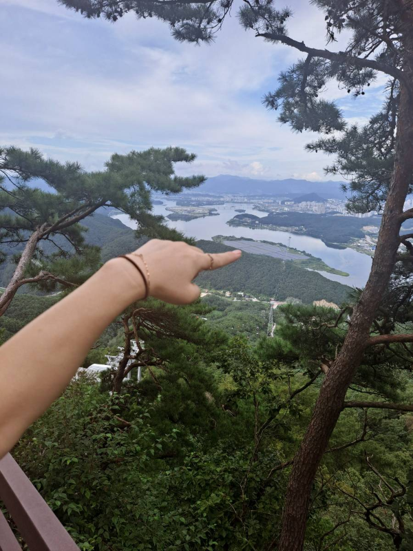 전망대에서 바라본 붕어섬