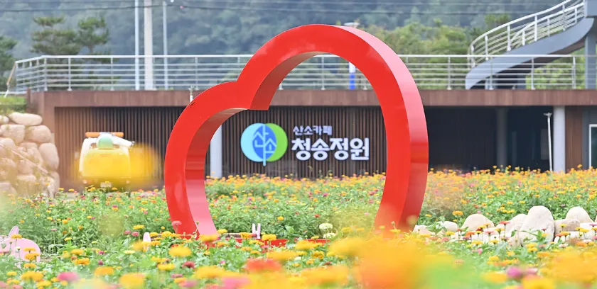 2023-가을-단풍-여행-추천-산소카페-청송정원