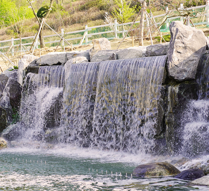 가평 베고니아새정원