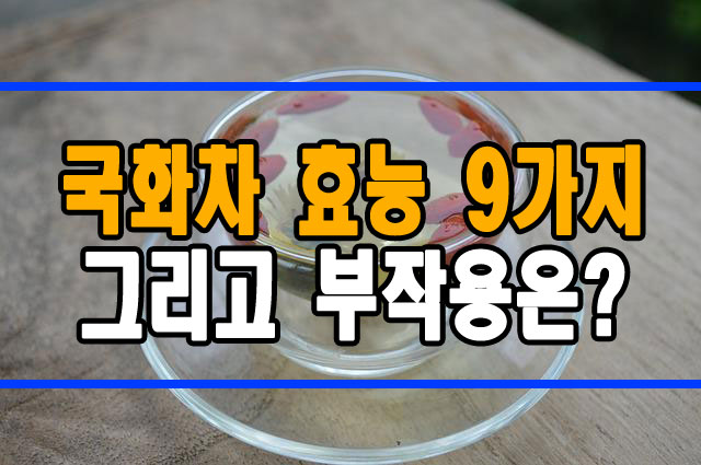 국화 꽃차 효능 9가지 그리고 부작용 알려드려요!