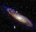 ESTP 특징 유형 분석