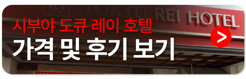 시부야 도큐 레이 호텔