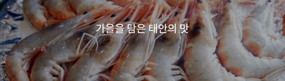 태안 가볼만한곳