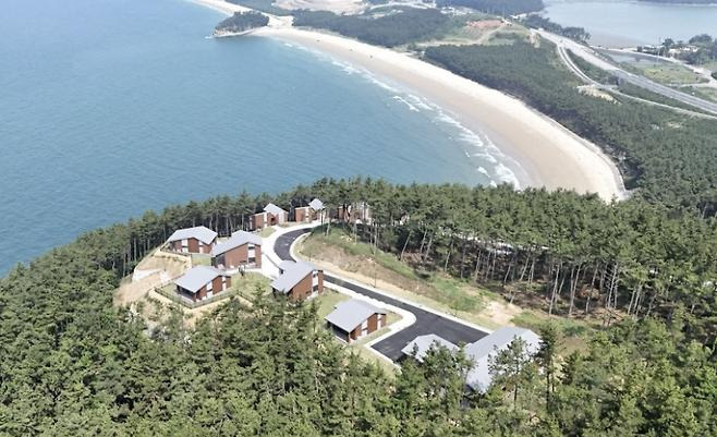 보령 원산도 자연휴양림 예약하러 가기