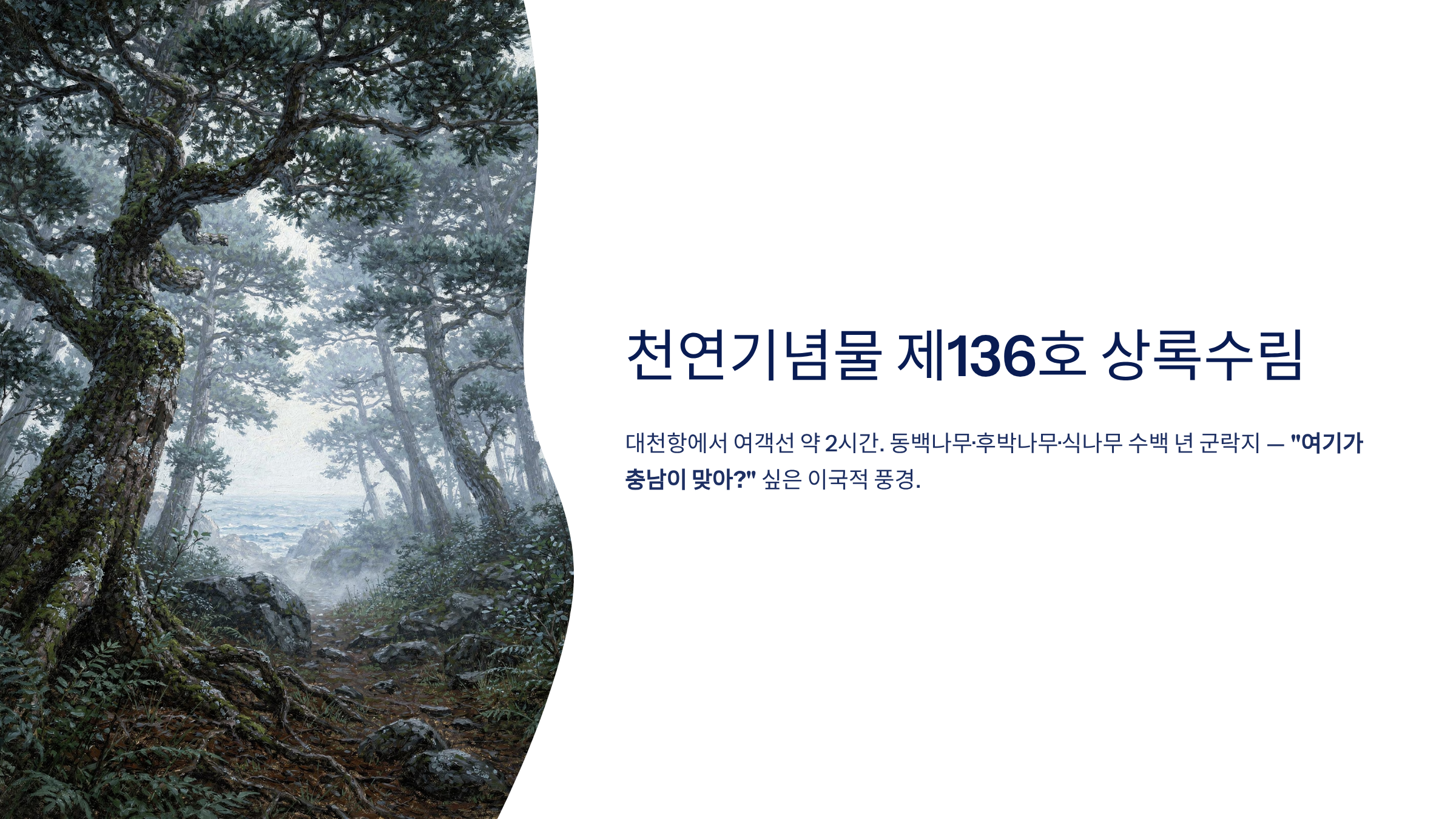 보령시 근교 산책·달리기·트레킹 명소 완벽 가이드 ❘ 머드축제 도시의 숨겨진 자연 액티비티