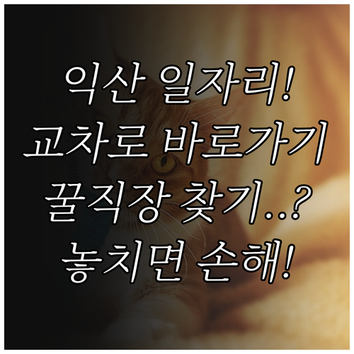 익산 교차로 구인구직 바로가기 및 신..