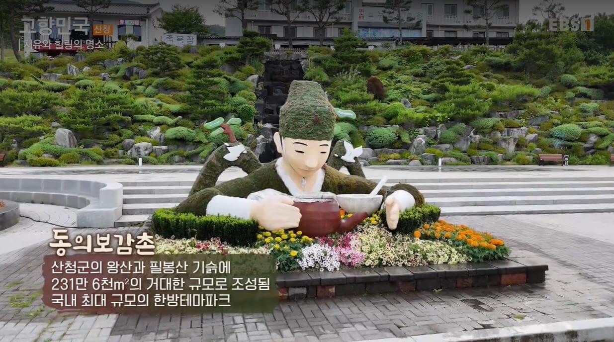 고향민국 산청별곡 치유와 힐링의 명소 한방테마파크 한방휴양관광지 동의보감촌