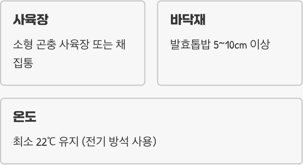 따뜻한 남쪽 나라의 집 꾸미기, '사육장 세팅'