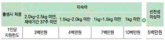미숙아 및 선청성이상아 의료비 지원의 체중별 지원 내역을 보여주고 있습니다.