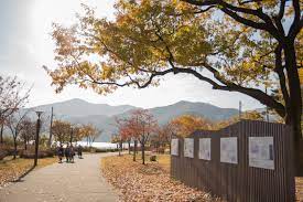 남양주 가볼만한곳 - 다산생태공원