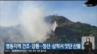 영동지역-건조하고-강풍이불어-정선-삼척지역에서-잇단-산불이나느-모습을-방송하는-뉴스
