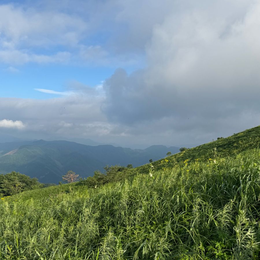 민둥산