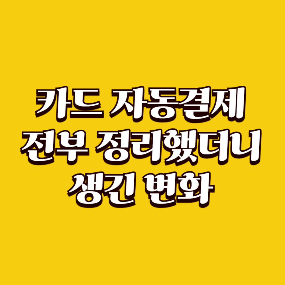 신용카드 자동결제를 전부 정리했더니 생긴 변화