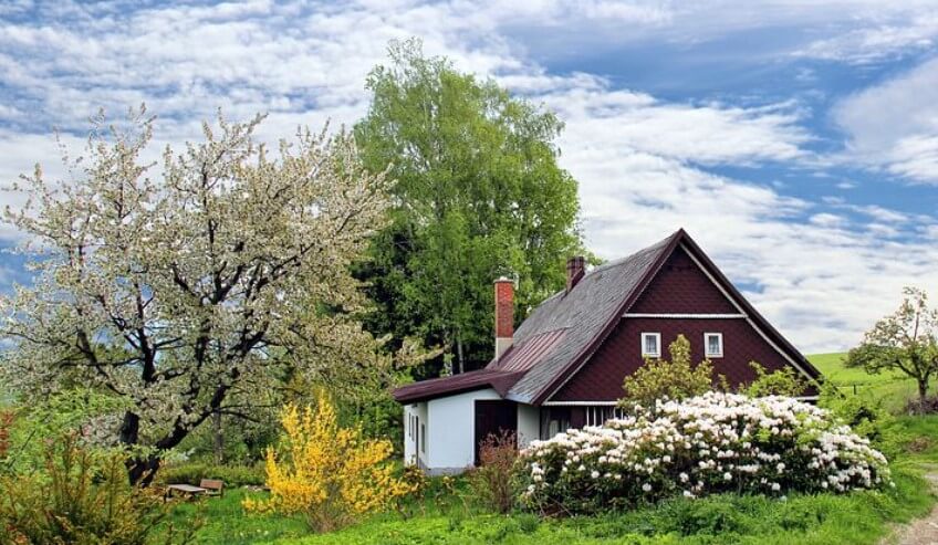 집안에잡초가있는꿈
집안에나무가있는꿈
