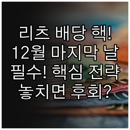 2025년 리츠 연말 배당 핵심 전략..