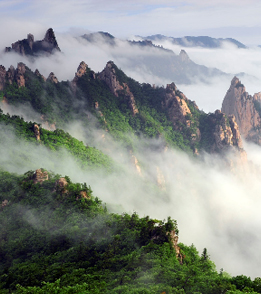 국립공원 사진