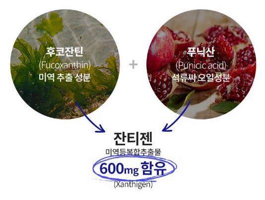 푸응-나이트버닝-다이어트-효과