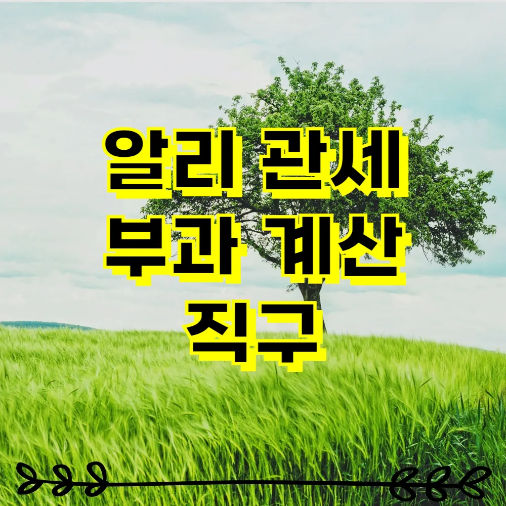 알리 관세 부과 계산 직구