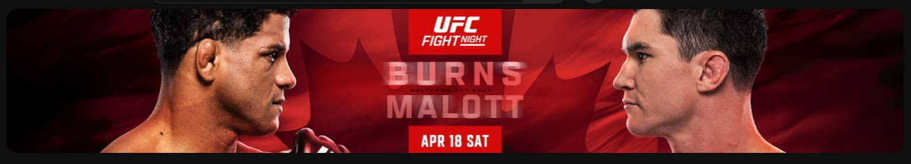 UFC경기일정