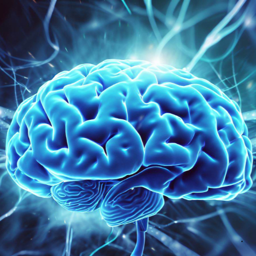 포스파티딜 세린 효능