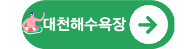 대천해수욕장