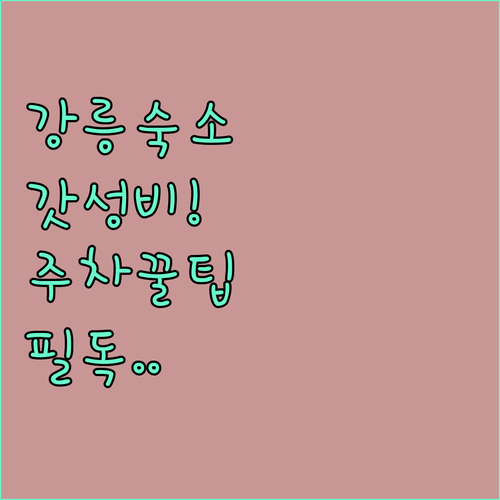 강릉 여행 숙소 결정 가이드 가성비 ..