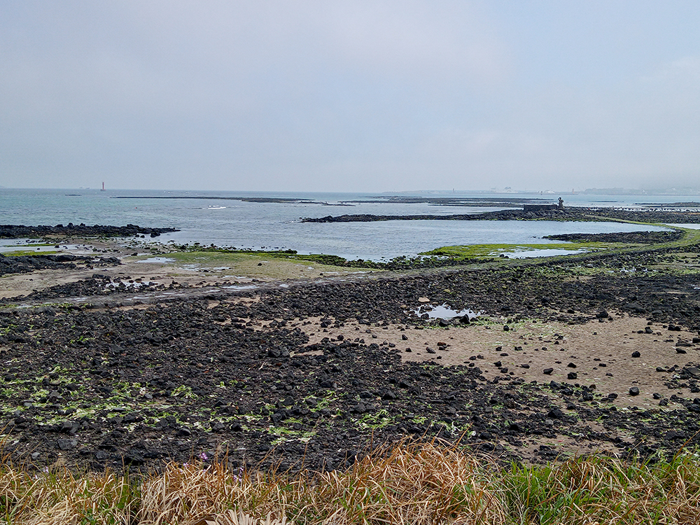 올레길 21코스: 종달바당