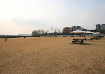 안성팜랜드-입장료-승마센터-파라다이스독-요금