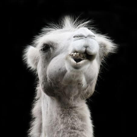 건강하게살빼기 건강하게살빼는방법