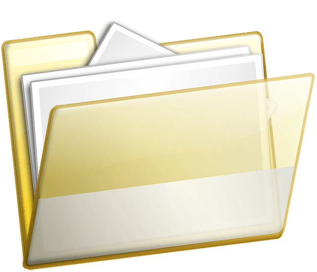 모바일 신분증 발급 