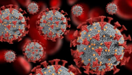 2025년 A형 독감 유행, 주요증상,예방방법