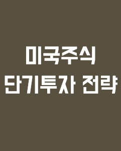 미국 주식 단기 투자 전략에 관한 이미지 입니다.