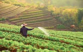 농민수당 자격 확인