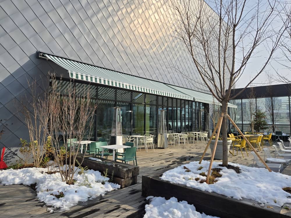 송도 웁스어데이지