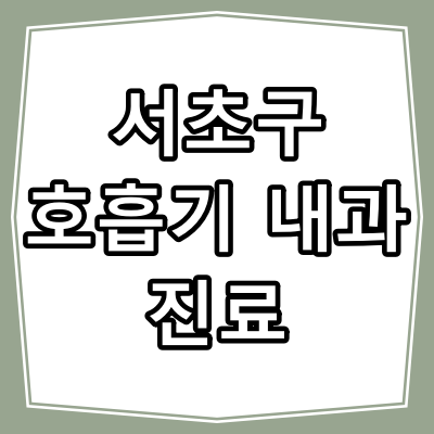 서울시 서초구 호흡기 내과 진료 잘 하는 병원