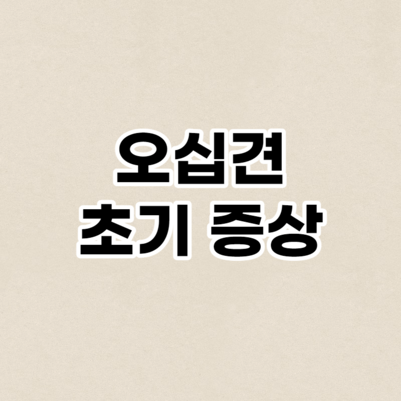 오십견 초기 증상