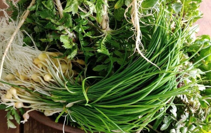 봄철 면역력 강화 제철 음식 종류, 추천 식단