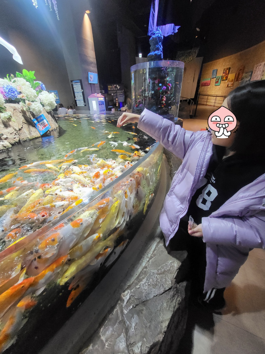 대전 아이와 가볼만한 곳&amp;#44; 신세계 아쿠아리움!(입장권/공연/체험)