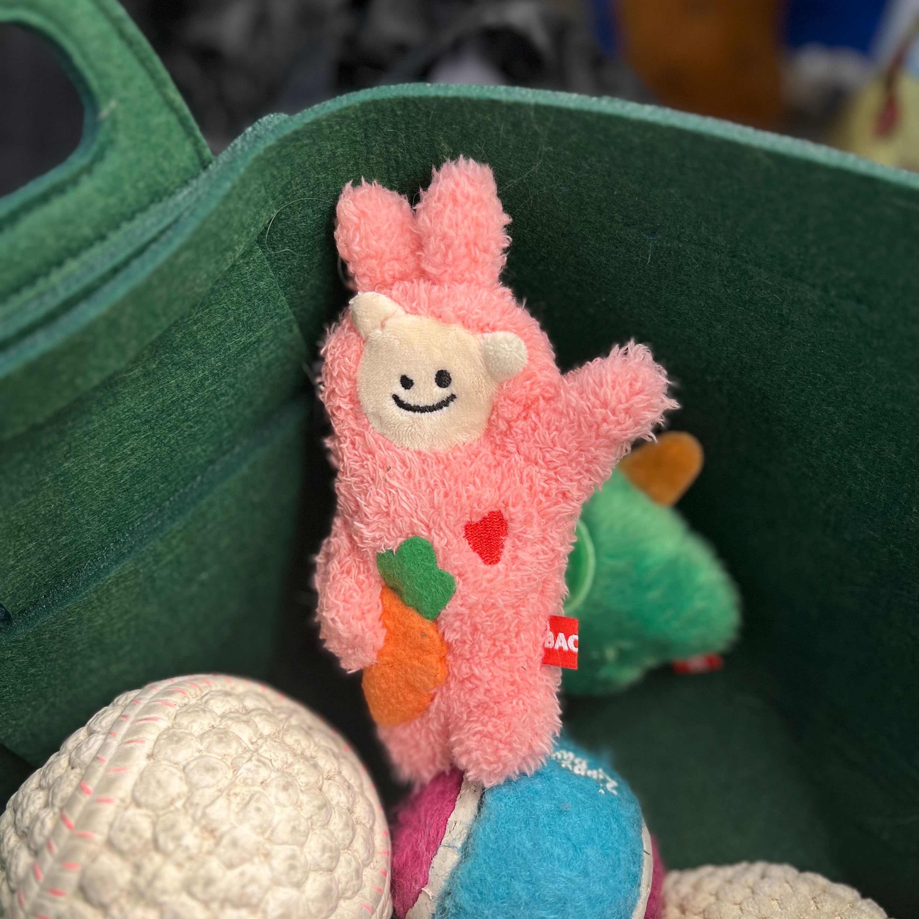 구독 상품 이미지 4