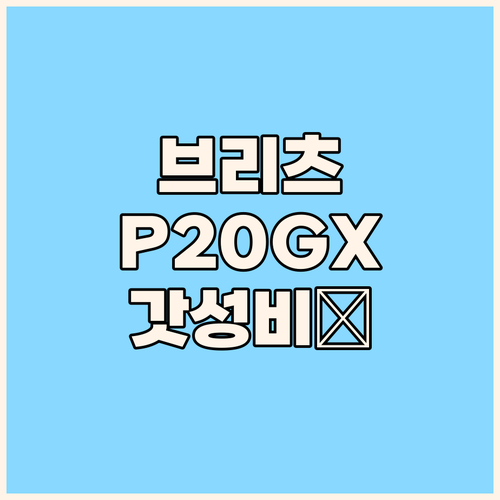 브리츠 유선 이어폰 P20GX, 이 